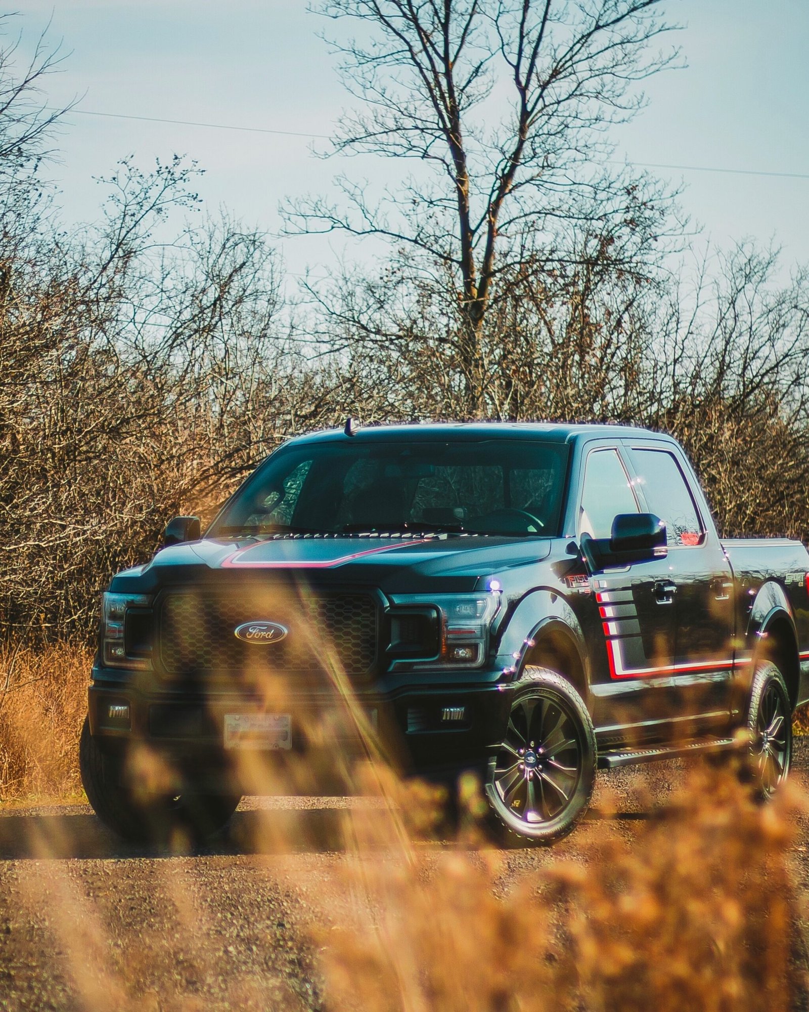 black Ford truck near bare tree